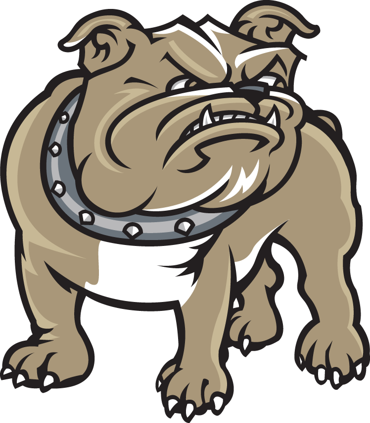Bryant Bulldogs 2005-Pres Alternate Logo diy iron on heat transfer